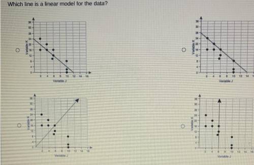 Which line is a linear model for the data