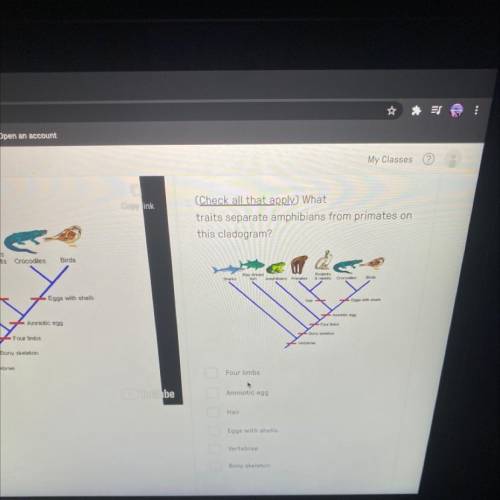 Link

(Check all that apply) What
traits separate amphibians from primates on
this cladogram?
imat