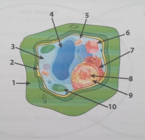 Plz I need help with dis assignments​