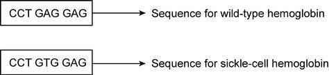 Sickle-cell anemia is caused by a mutation of one nucleotide in a gene. The type of mutation that c