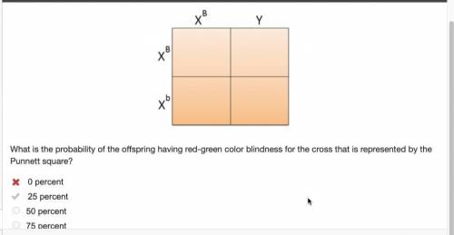 What is the probability of the offspring having red-green color blindness for the cross that is rep