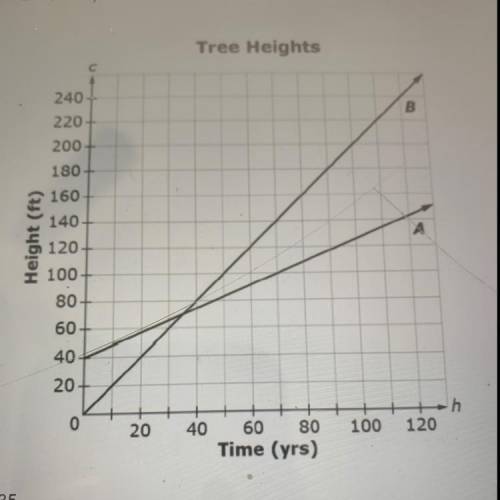 The graph shown compares the height of Troo A and the height Tree B over time

(in years). How man