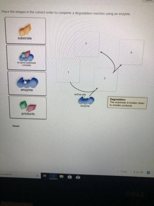 Enzymatic reactions: Degradation
Plz help me figure out what goes in the boxes!