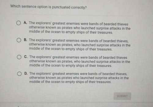 Which sentence option is punctuated correctly​