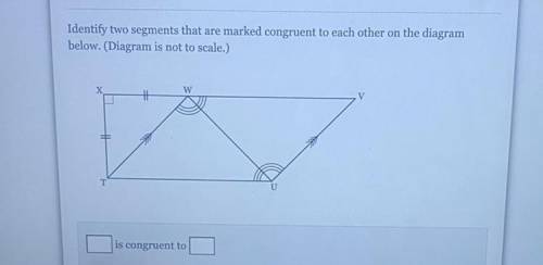 Pleaseee helppp answer correctly