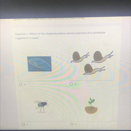 Question 1. Which of the diagrams below shows a picture of a unicellular
organism?