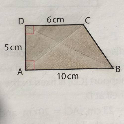 Maths! please help :)

|AB|=10cm
|AD|=5cm
|DC|=6cm
The angles A and D are right angles. Find the l