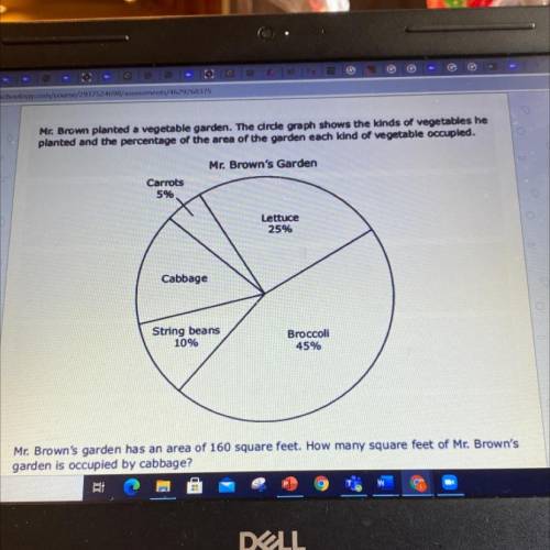 Mz Brown planted a vegetable garden. The cirde graph shows the kinds of vegetables he

planted and