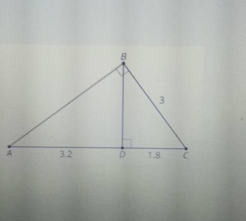 Find the lengths of segments AB and BD. Show your answers 2 different ways under show your work.​