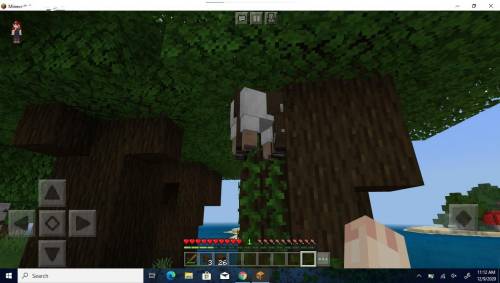 What do I do when I see this in Minecraft? Do I help or do I leave it? Im so confused..
