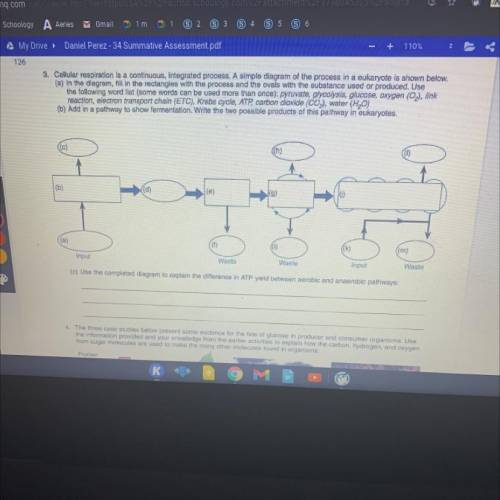 Can Someone help me with this? Will give BRAINLIEST