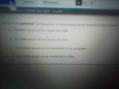 Which is the greatest consequence of transcription being blocked in the nucleus