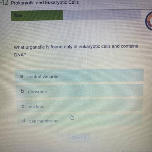 What organelle is found only in eukaryotic cells and contains
DNA?
