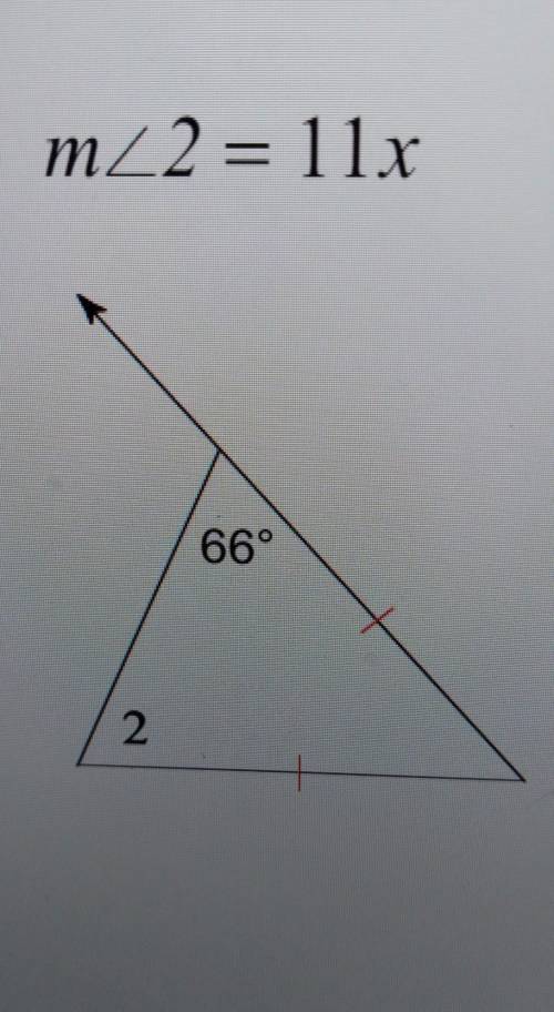 Please help. Solve the value of x​