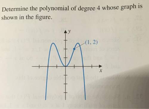 I need help with this ASAP Please help