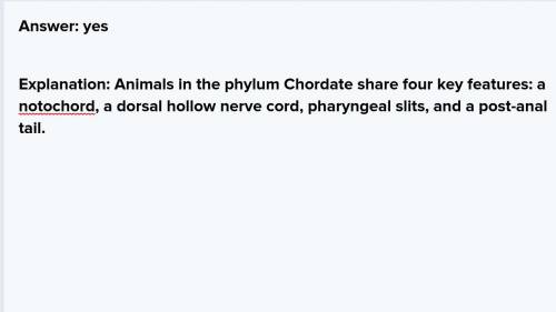 BRAINLIEST

Do animals have spinal cords or do they have dorsal cords please provide and explanatio
