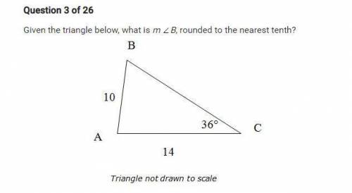 PLEASE HELP! Im stuck