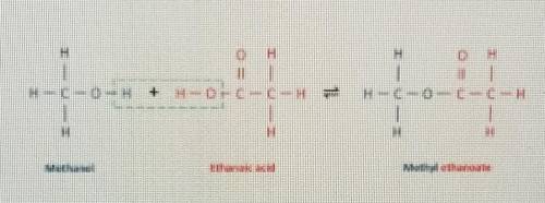 What type of reaction is shown below? a) Addition reaction b) Esterification​