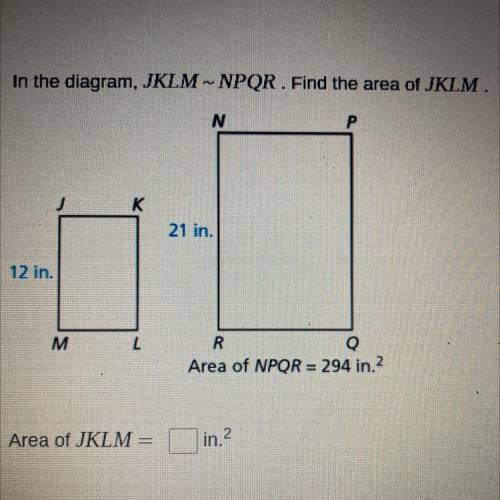 I’m confused need help please