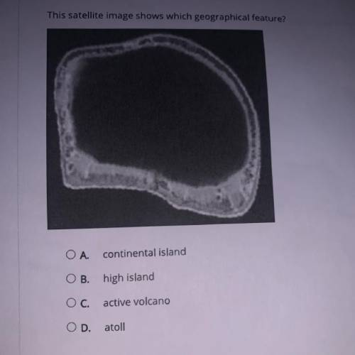 PLEASE HELP

question 
this satellite image shows which geographical feature 
a. continental islan