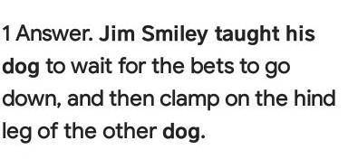 What had Jim Smiley taught his dog to do in a fight?