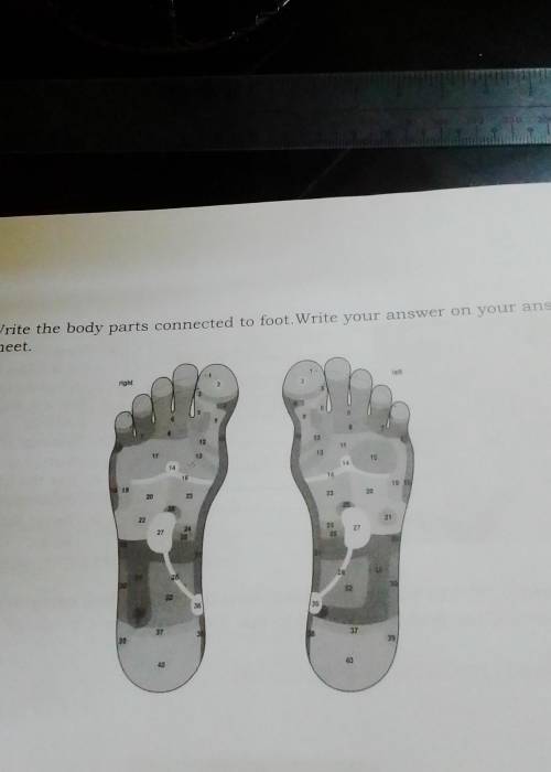 Write the parts connected to foot.Write your answer on your answer sheet.​