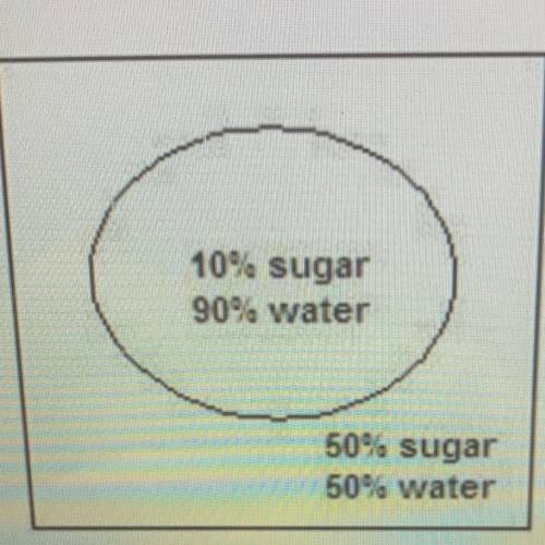 The image shows a cell placed in an aquatic environment. Using your

knowledge of water tonicity,