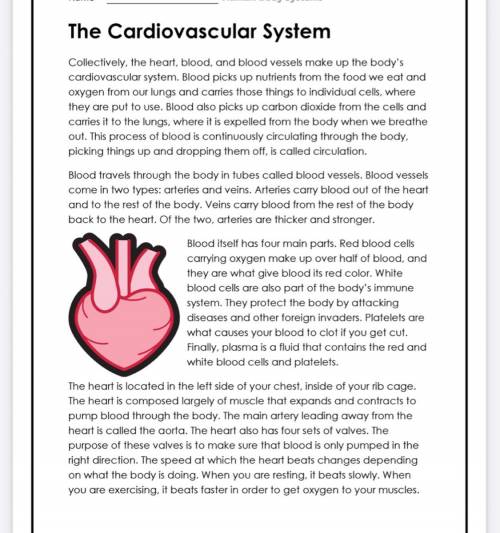 PLZ HELP ME ASAP

Read the article above and answer the following questions
1. The cardiovascular