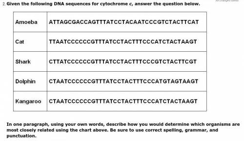 Based on the given DNA sequences, write a short paragraph describing how you would determine which