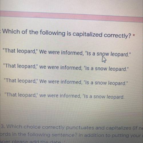 Q2: Which of the following is capitalized correctly? *

O That leopard, We were informed, Is a