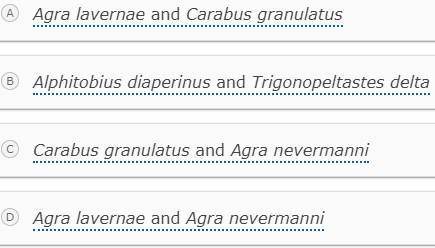 A student studied drawings of the following five insects from the order of Coleoptera. Which two in