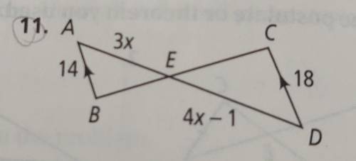 Explain why the triangles are similar. Then find the value of x.