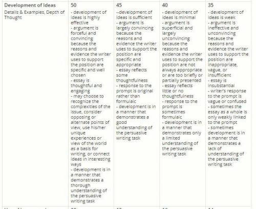 Let's say a student writes an essay, and you're using this rubric to grade that essay. This is the