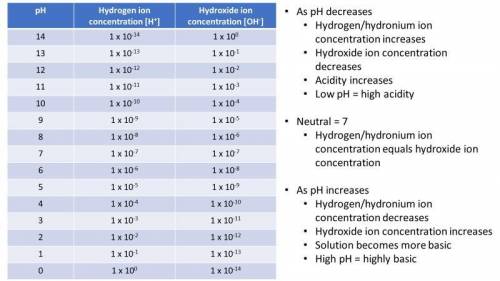 5. What is the approximate hydrogen/hydronium ion concentration in a cup of tea? (1 point)

a) Wha