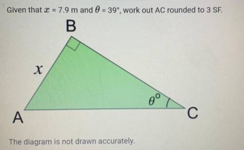 Please help with maths!