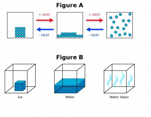 A group of students are studying two models of solids, liquids, and gases. The students have been g