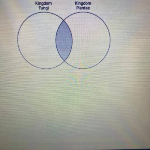 A student wants to use the Venn diagram below to show the characteristics of two kingdom of organis