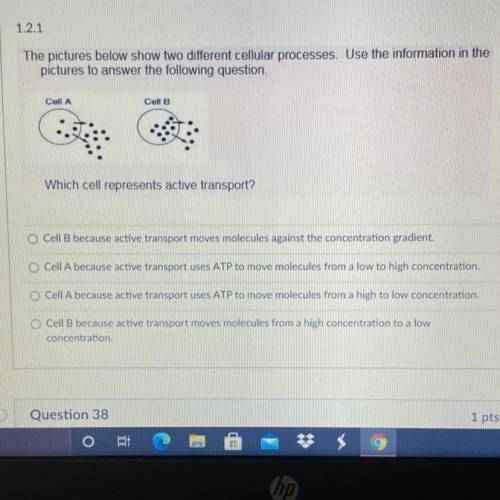 The pictures below show two different cellular processes. Use the information in the

pictures to