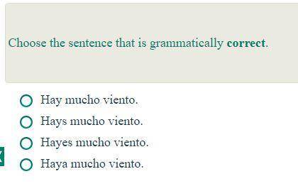 PLEASE HELP WITH SPANISH MIDTERM 
choose the sentence that is Grammatically correct.