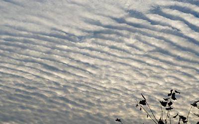 What type of clouds is this and which two types of weather are most likely to occur when you see cl