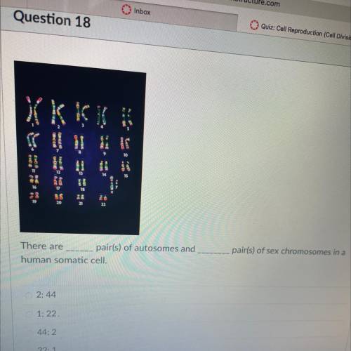 Please answer quickly!There are _____ pair(s) of autosomes and _____ pair(s) of sex chromosomes in