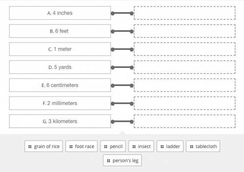 Choose an object that could be about the same length as each measurement.