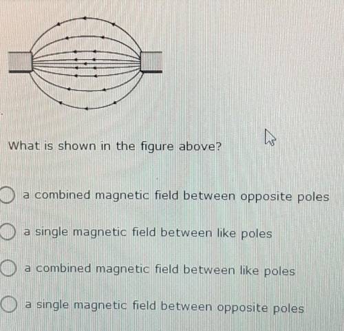 What is shown in the figure ​