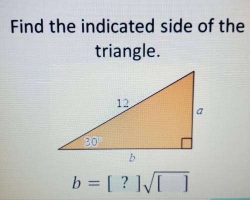 Find the indicated side of the triangle. 12 30° b b = [?]please help​