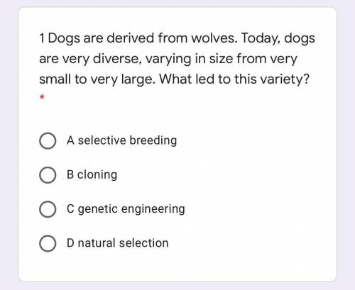 Dogs are derived from wolves. Today, dogs are very diverse, varying in size from very small to very