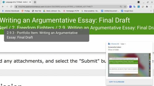 READ THE GREY PART PORTFOLIO ITEM: WRITING AND ARGUMENTATIVE ESSAY: FIN