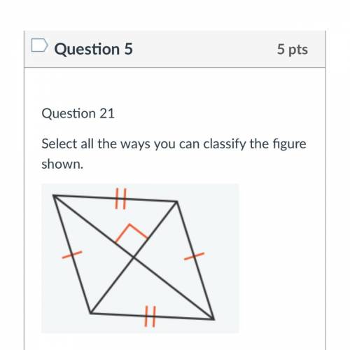Question 21
Select all the ways you can classify the figure shown.