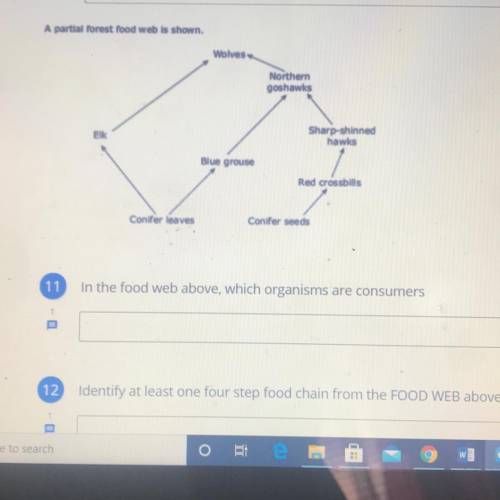 In the food web above which organisms are consumers