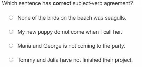 Which sentence has correct subject-verb agreement?