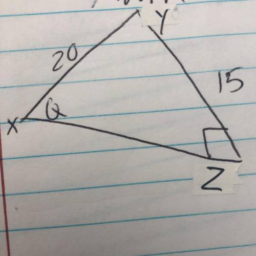 Find the missing angle, then find y, then find xz